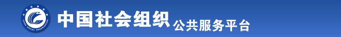 人与人日B的视频全国社会组织信息查询